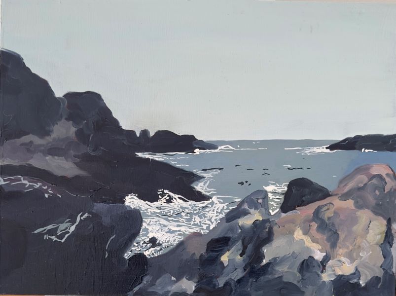 Logs from the Wild Pacific Coast, British Columbia - Page II